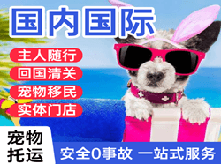 肥东白龙机场快运国际宠物托运 【国